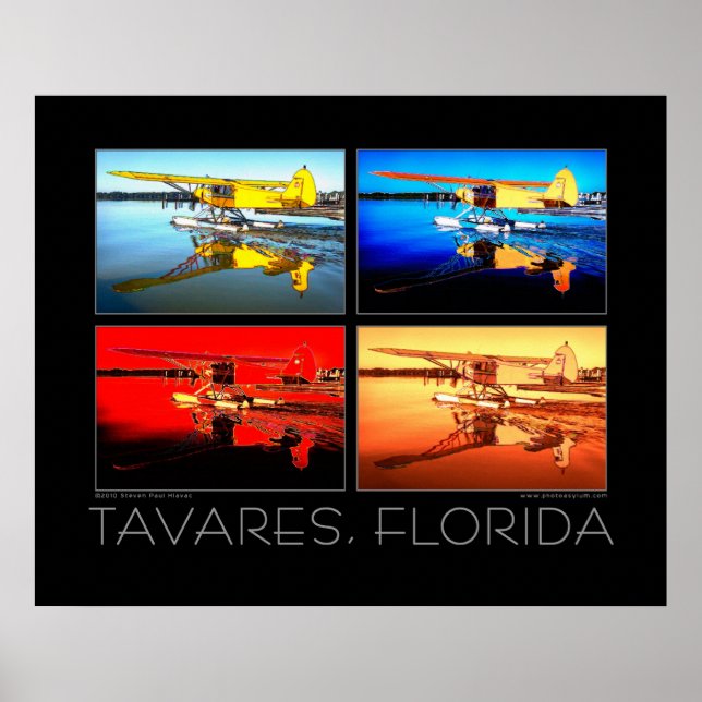 Póster Poster de Tavares Florida Bella Artes (Frente)
