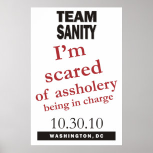 Póster Poster de Team Sanity