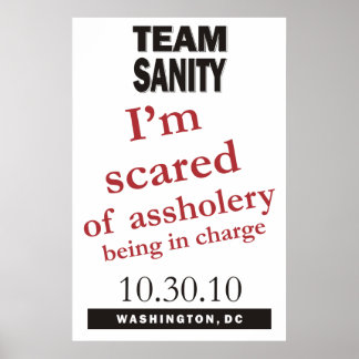 Póster Poster de Team Sanity