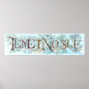 Póster Poster de Temet Nosce