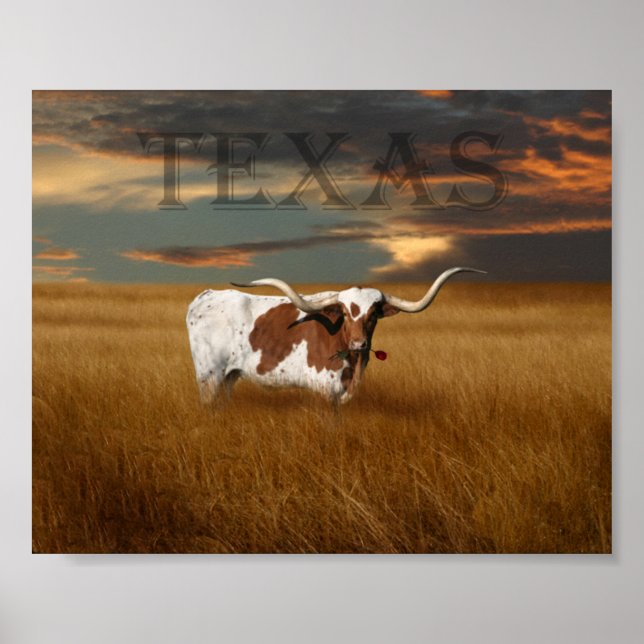 Póster Poster de Texas Longhorn (Frente)