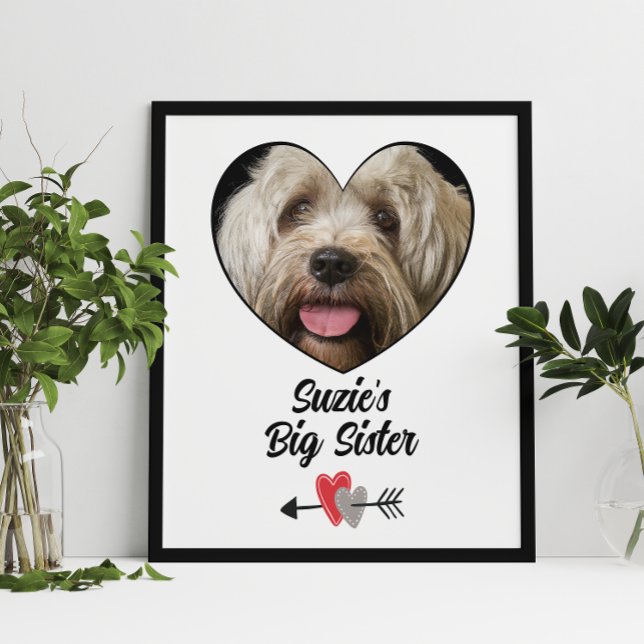 Póster Poster de texto y foto de hermano mayor de perro p (Subido por el creador)