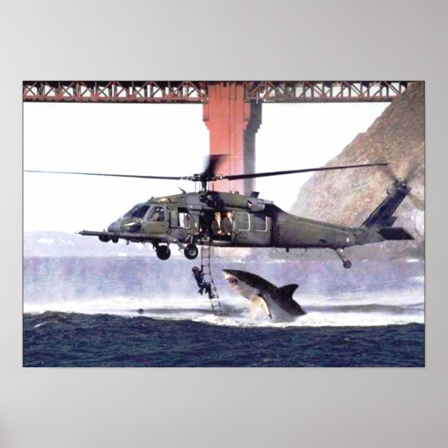 Póster Poster de tiburones salvajes (Frente)