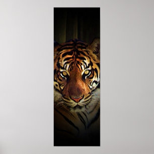 Póster Poster de tigres de Sumatra