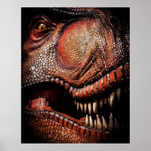 Póster Poster de tirannosauro dinosaurio