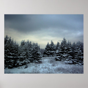 Póster Poster de tormenta de invierno