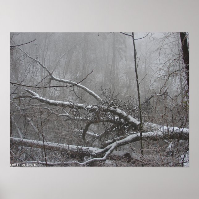 Póster poster de tormenta de nieve "Monocrome Blizzard" (Frente)