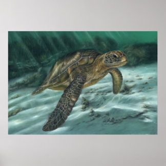 Póster Poster de tortuga marina
