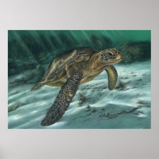Póster Poster de tortuga marina (Frente)