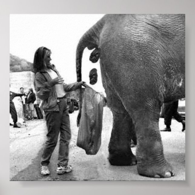 Póster Poster de trabajo antiguo (Frente)