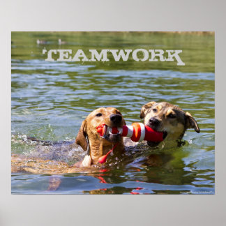 Póster Poster de trabajo en equipo de perro personalizabl