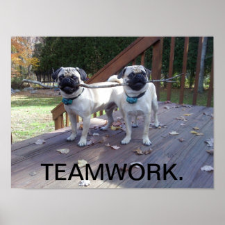 Póster ¡Poster de trabajo en equipo! ¡Pugs trabajando jun