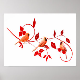 Póster Poster de tres cardenales