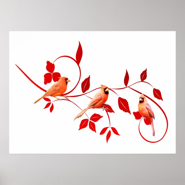 Póster Poster de tres cardenales (Frente)