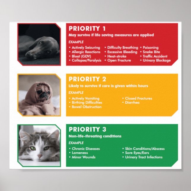 Póster Poster de triage (Frente)