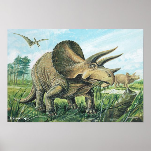 Póster Poster de Triceratops (Frente)