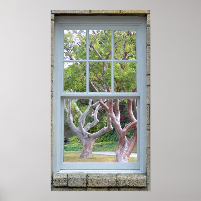 Póster Poster de troncos de árbol con curvatura de ventan (Frente)