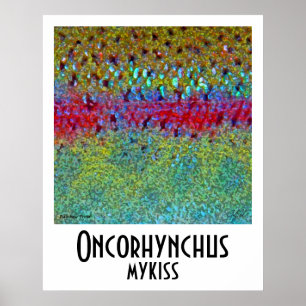 Póster Poster de trucha arco iris