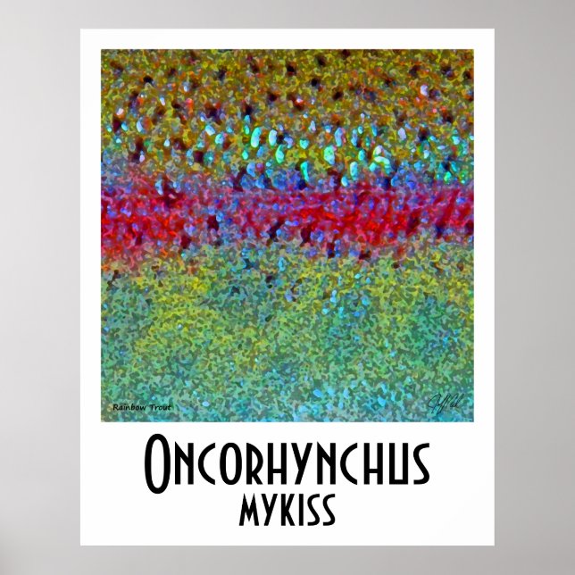 Póster Poster de trucha arco iris (Frente)