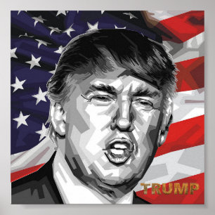 Póster Poster de Trump