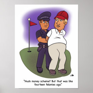 Póster Poster de Trump Felonies