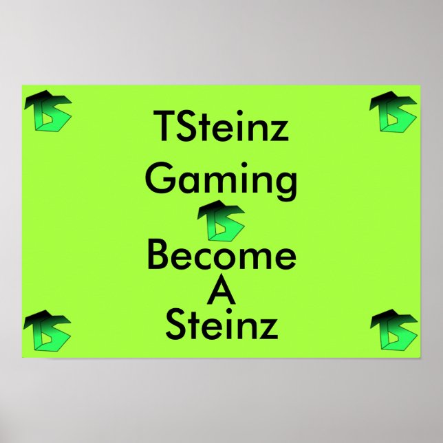 Póster POSTER de TSteinz (Frente)