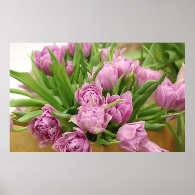 Póster Poster de tulipanes rosa (Frente)