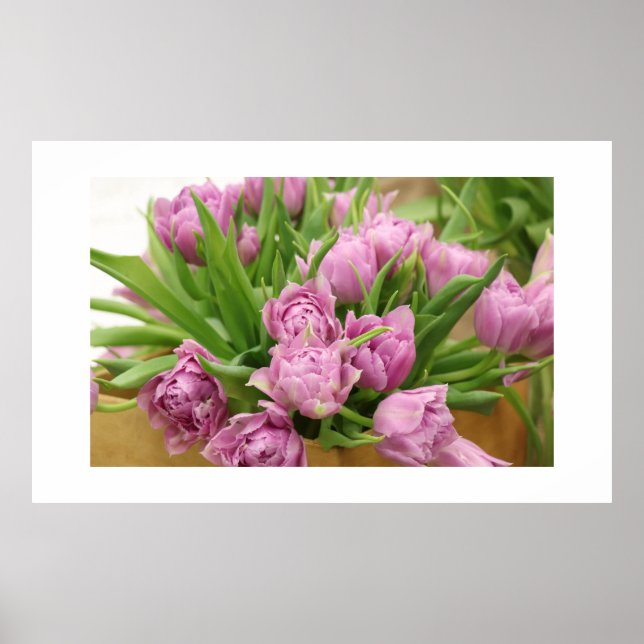 Póster Poster de tulipanes rosa (Frente)