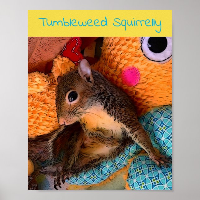 Póster Poster de Tumbleweed (Frente)