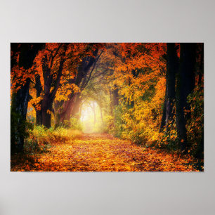 Póster Poster de túnel de otoño