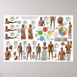 Póster Poster de ubicaciones de puntos del meridiano de a