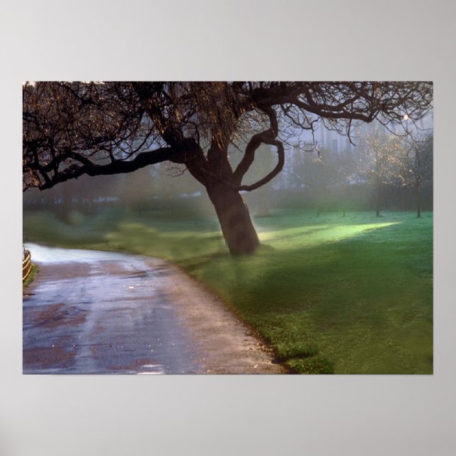 Póster Poster de un día hermoso (Frente)