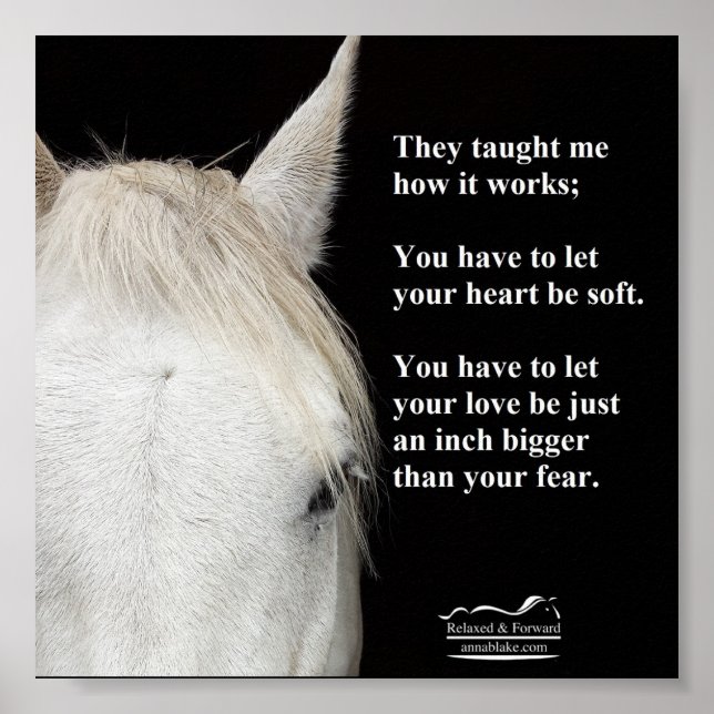 Póster Poster de una foto de un caballo blanco con una ci (Frente)