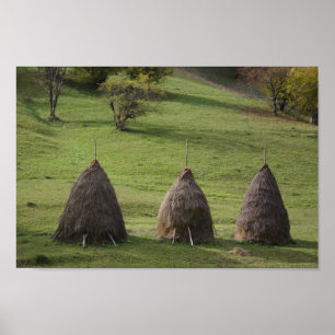 Póster Poster de valores Papel de paja