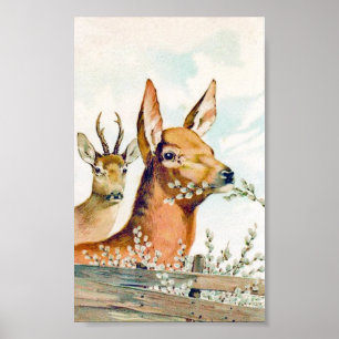 Póster Poster de venado vintage