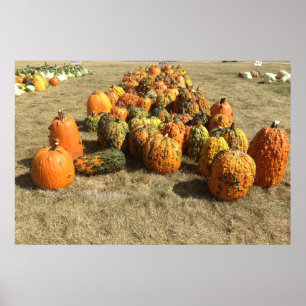 Póster Poster de venta de calabaza de otoño