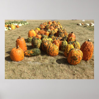 Póster Poster de venta de calabaza de otoño