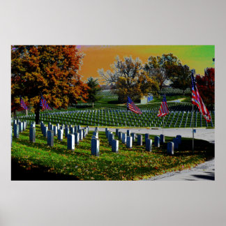 Póster Poster de Veteranos de Estados Unidos