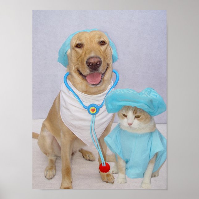 Póster Poster de Veterinaria (Frente)