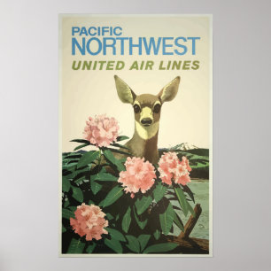 Póster Poster de Viajes de Vintage - Noroeste de Estados 