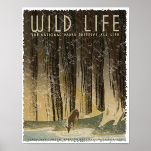 Póster Poster de Viajes Vintage - Wildlife, alrededor de