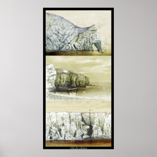 Póster Poster de vida de aves ~ Cliff Habitat