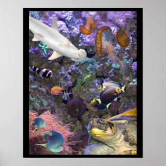 Póster Poster de vida marina