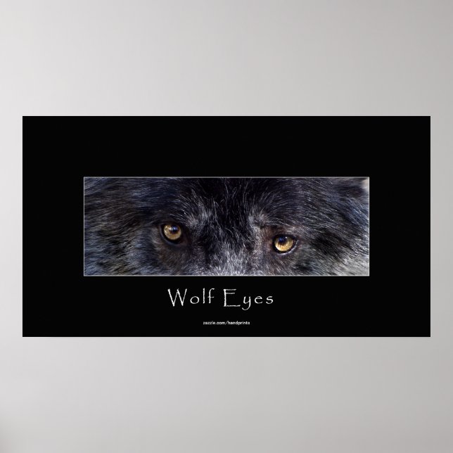 Póster Poster de vida salvaje Black Wolf Eyes (Frente)