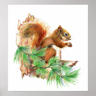 Póster Poster de Vida Silvestre Animal de la ardilla