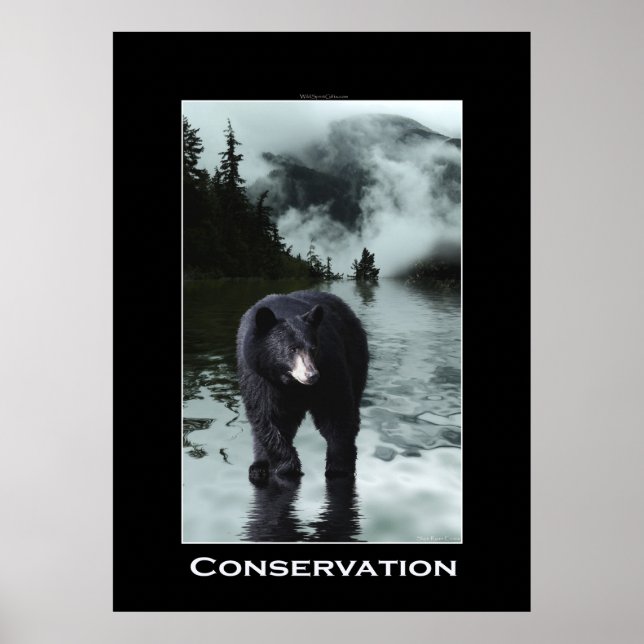 Póster Poster de Vida Silvestre de la CONSERVACIÓN del Os (Frente)