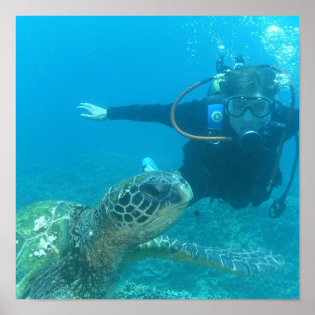 Póster Poster de vida subacuática de Scuba (Frente)