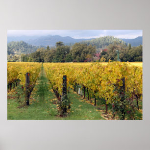Póster Poster de viñedos de Napa