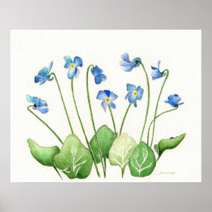 Póster Poster de violetas azules