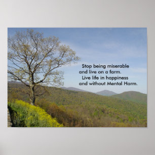 Póster Poster de Virginia Mountains